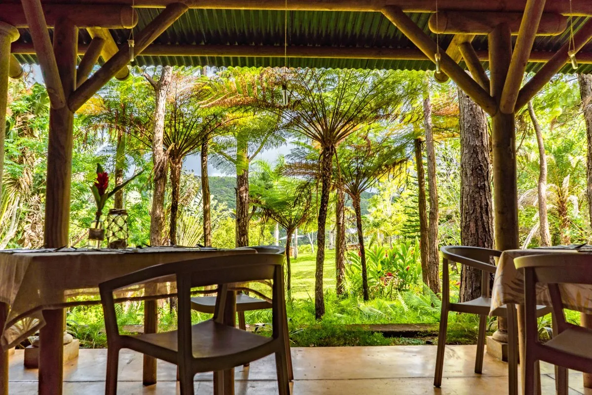 Lush garden with trees and flowers in front of L'Exil restaurant terrace in Mauritius