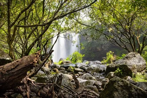 Top amazing waterfalls in Mauritius