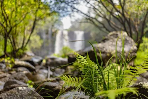 Breathtaking Waterfall in Mauritius