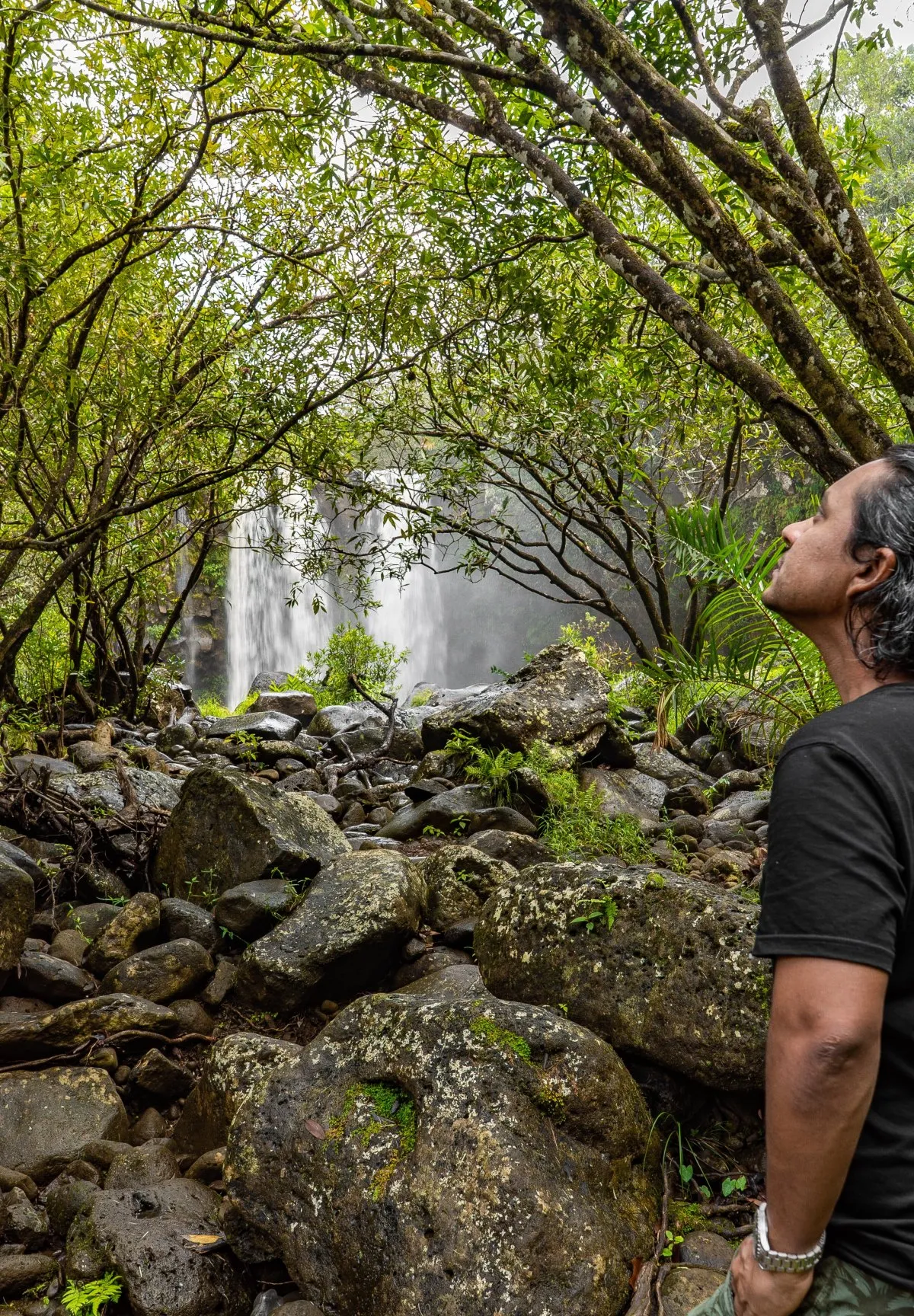 Leon Cascade waterfall seen behind trees in a forested area of Mauritius with a man standing nearby