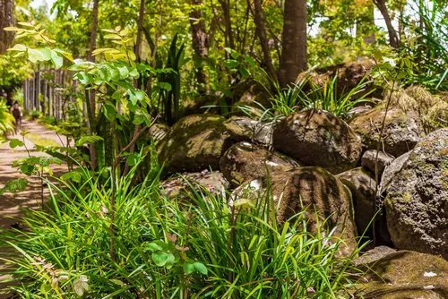 Volcanic Rocks of Mauritius