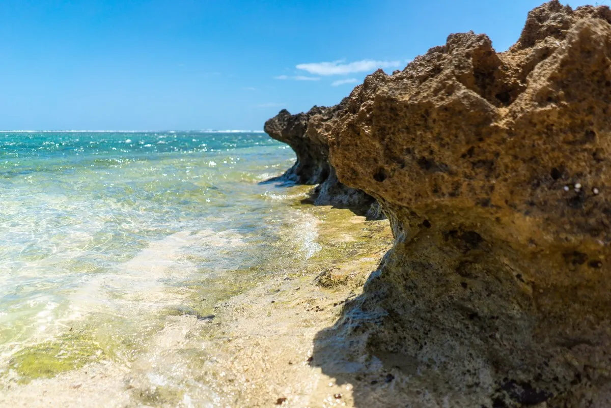 Rare coral rock formation with waves at La Prairie beach in southern Mauritius