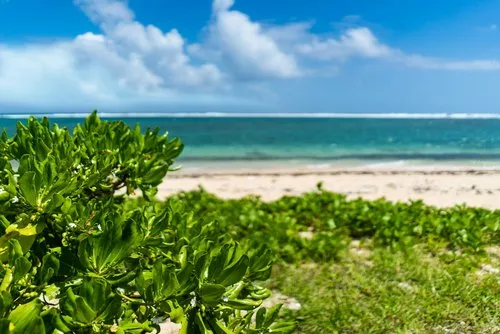 Amazing exotic and idyllic view of Mauritius seascape