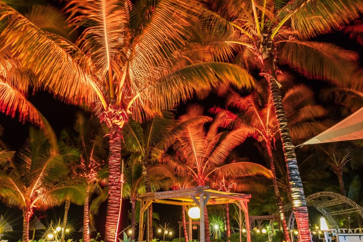 Illuminated Heritage C Beach Club garden at night with palm trees in Mauritius