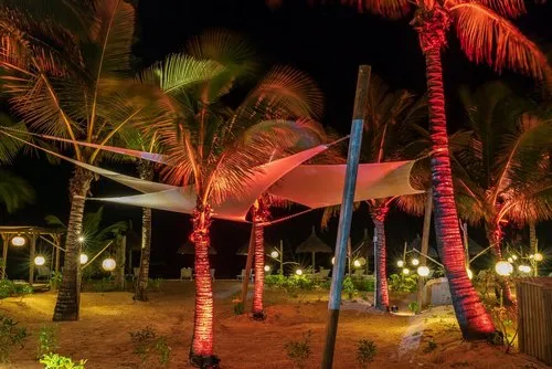 Heritage C beach club at night with Illuminated palm trees