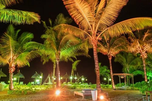 Illuminated beach garden with palm trees at night