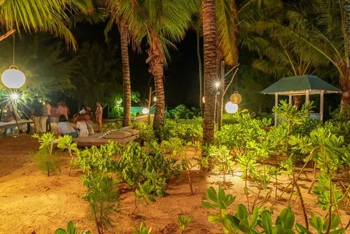 Beach show at night with people watching