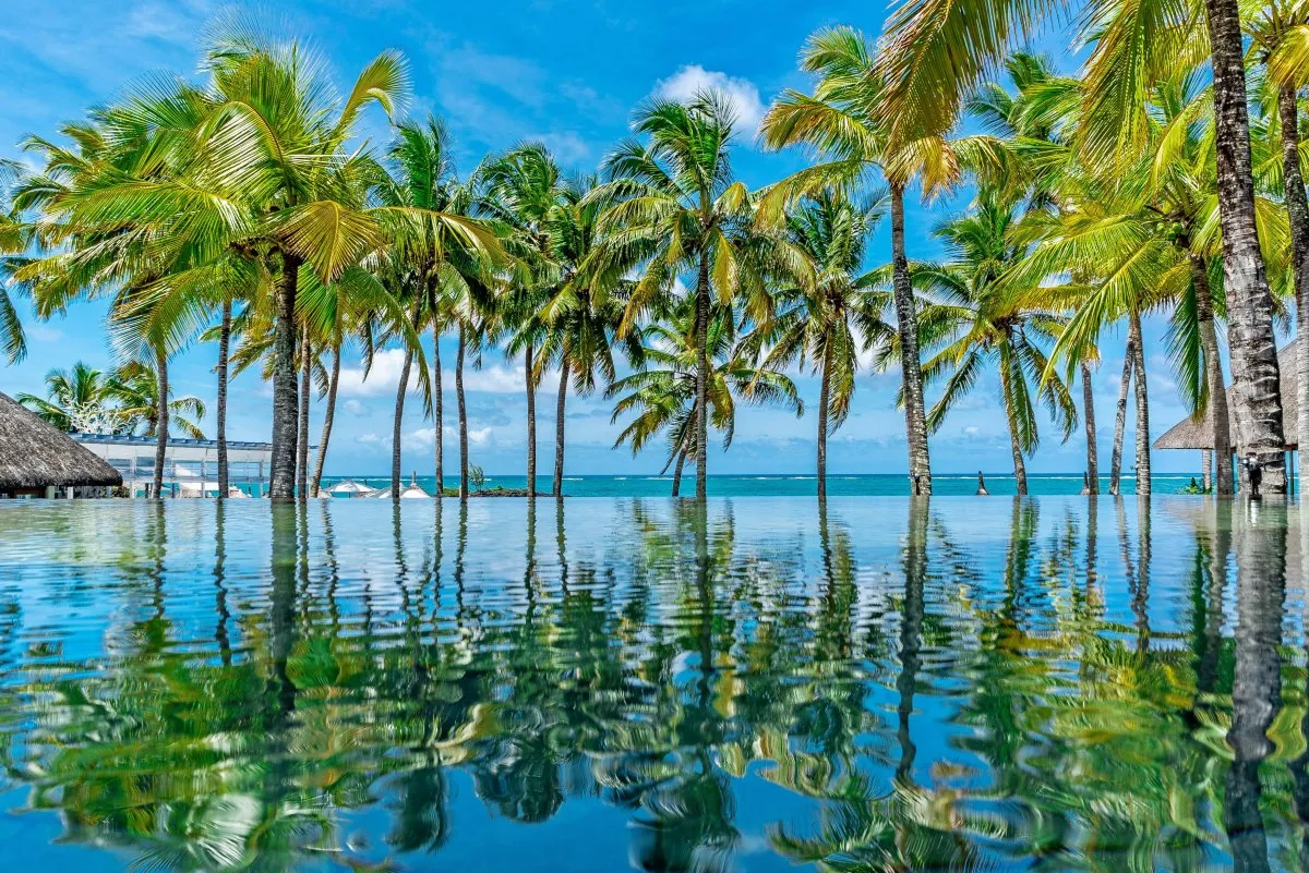 Reflection of palm trees in a hotel pool at Constance Belle-Mare Plage, Mauritius