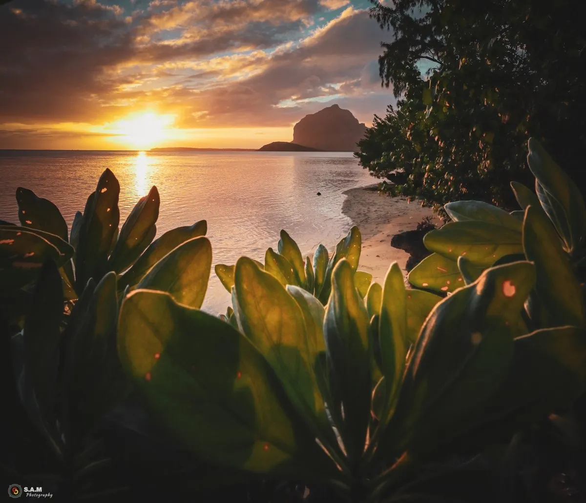 Le Morne Brabant mountain framed by sunset sky in Mauritius with beach and plants