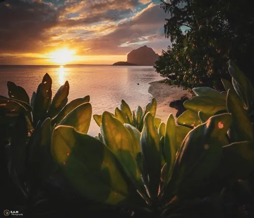The Iconic Le Morne Brabant mountain framed at sunset