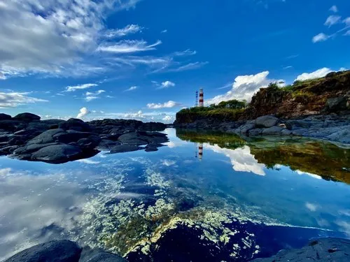 Albion Lighthouse reflection