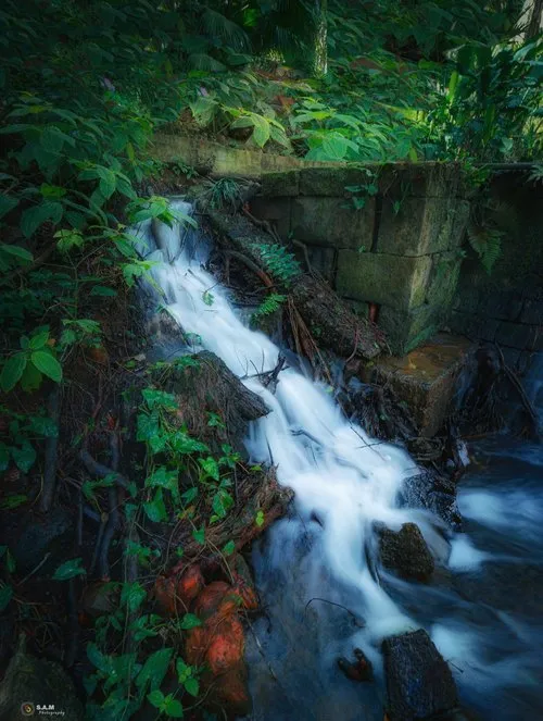 Stream Waterfall at Plaine Sophie