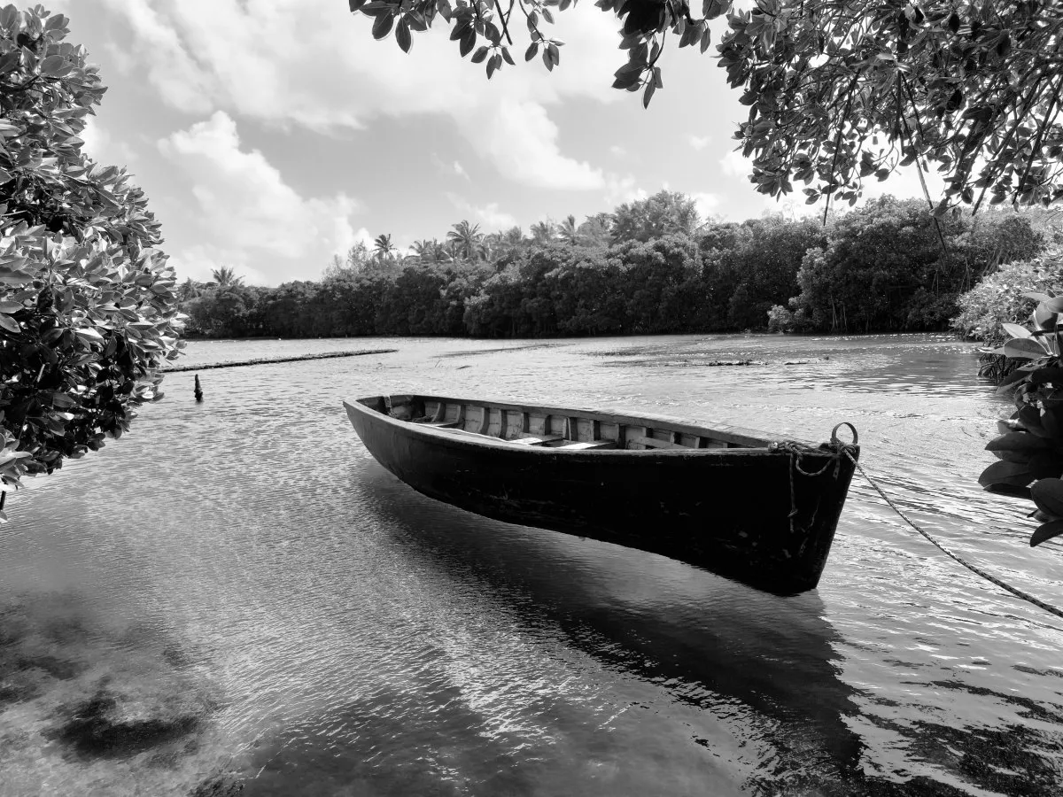 Boat berthed in calm water surrounded by lush forest at Barachois of Melville, Mauritius