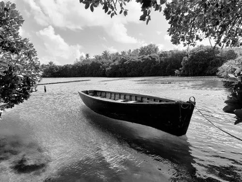 Boat surrounded by forest at Barachois of Melville