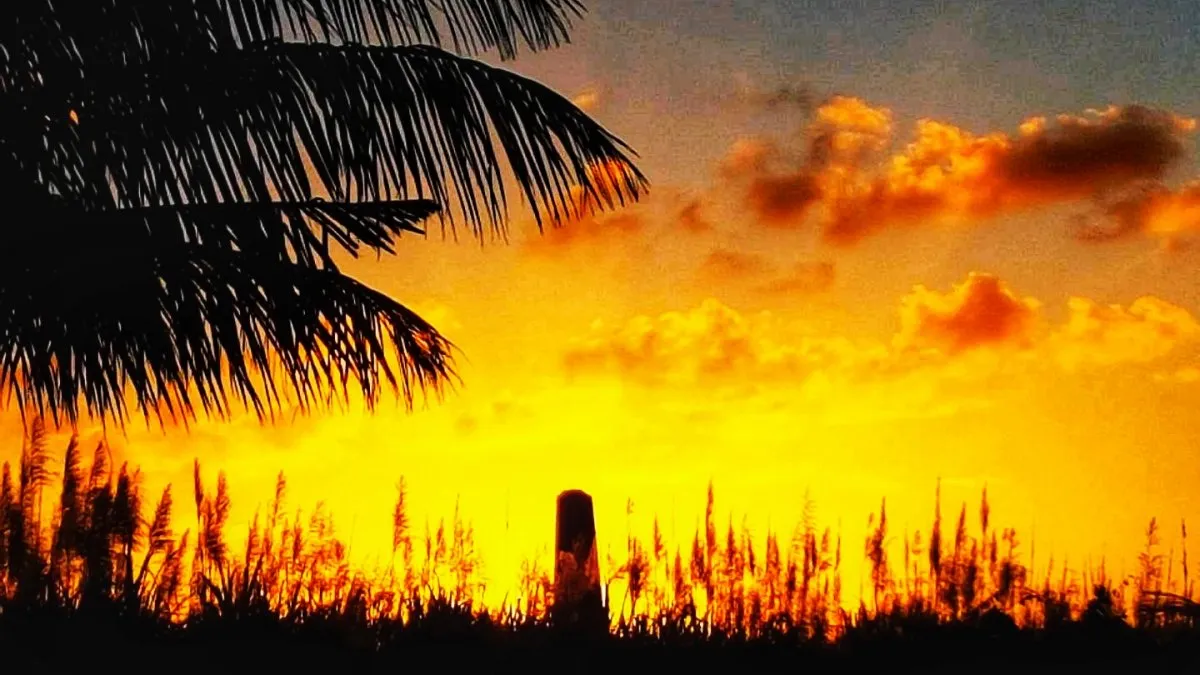Golden sunset sky over darkened sugarcane fields in Mauritius with an old chimney silhouette