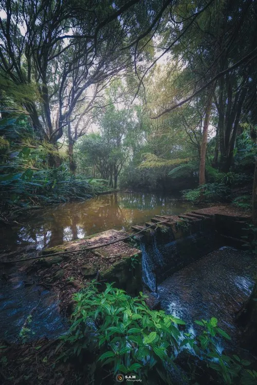 Plaine Sophie Nature Park