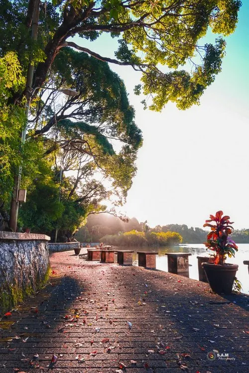 Grand Bassin pathway