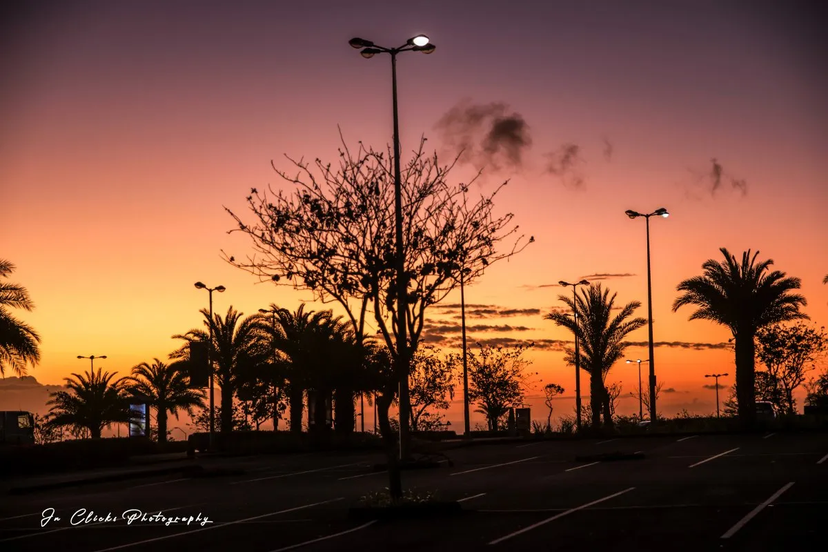 Reddish sky at sunset with dark trees in a Mauritius parking area