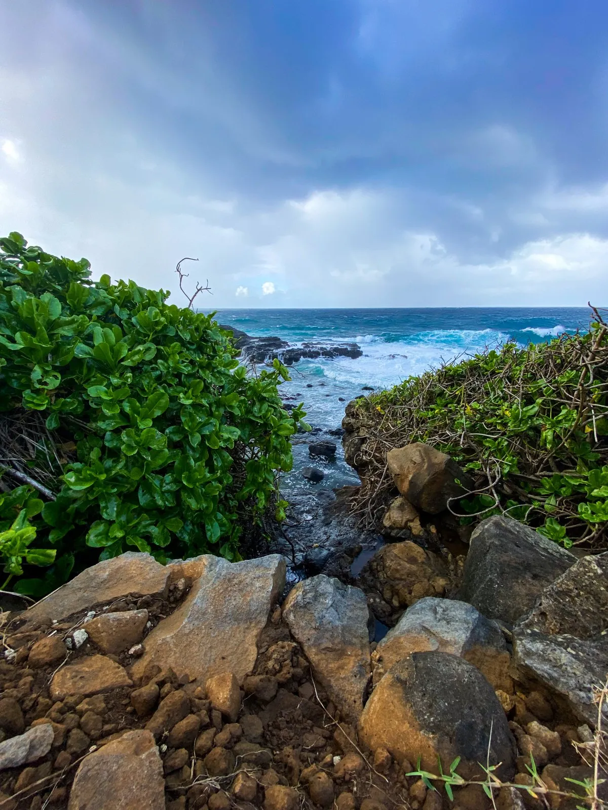 Rocky Le Souffleur beach with waves and plants in Mauritius under cloudy weather