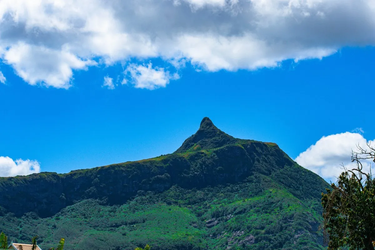 Verdant Le Pouce Mountain covered with plants and trees in Mauritius