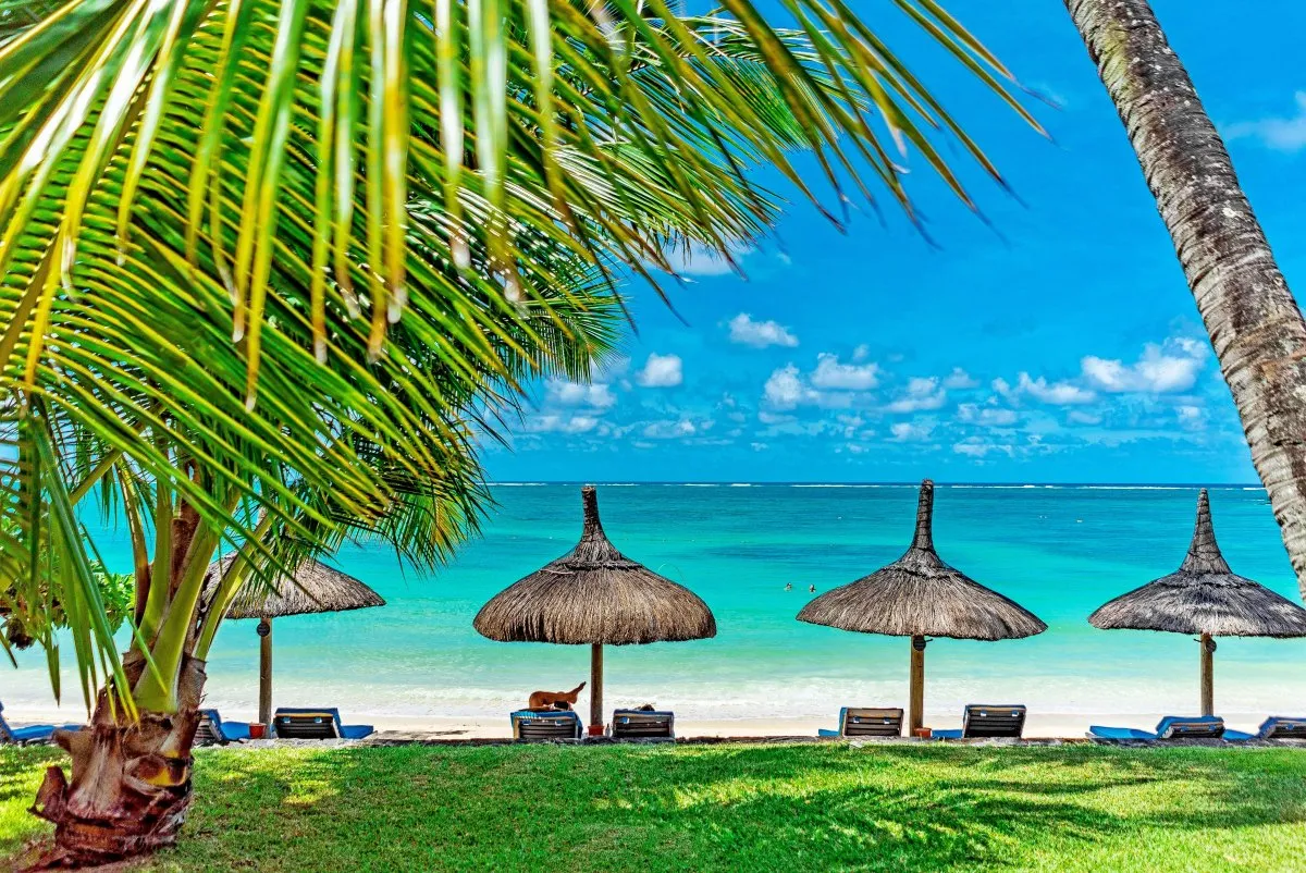 Beach view with palm tree, blue ocean, and deckchairs at Constance Belle-Mare Plage in Mauritius