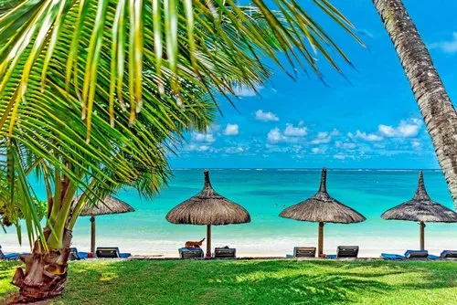 Constance hotel beach view under palm tree