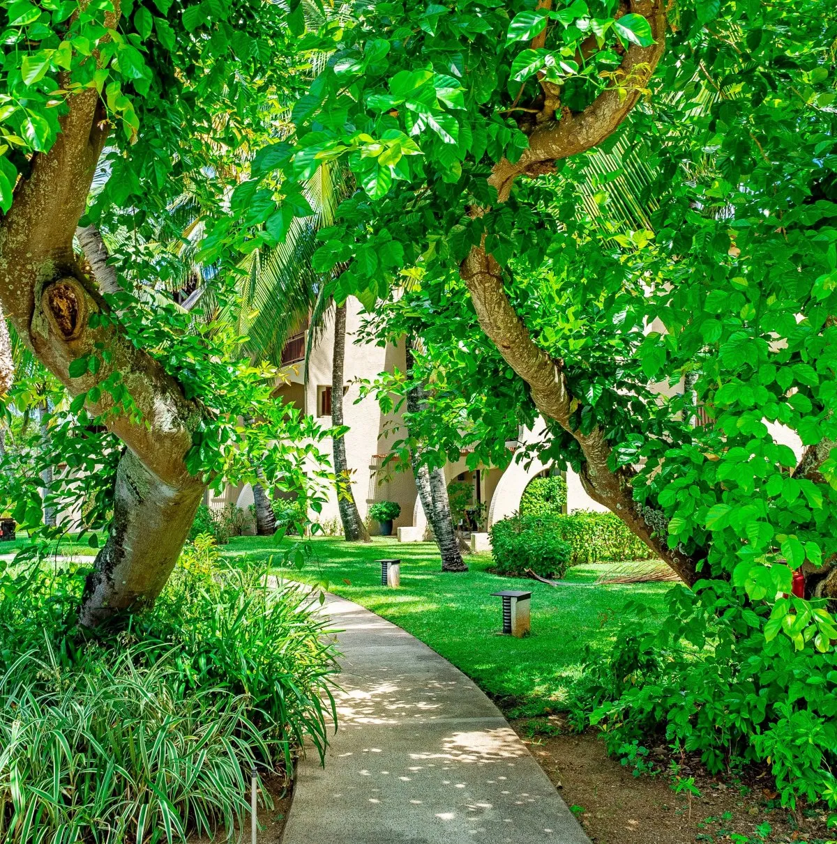 Concrete pathway under green trees in a lush garden at a beachside hotel in Mauritius