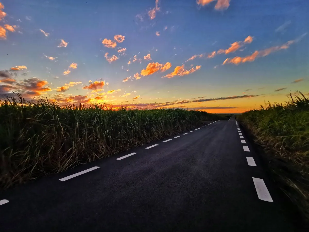 Sunrise lighting up sugarcane fields beside a clear road in Mauritius under a colorful sky