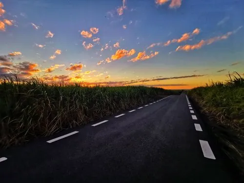Sunrise on clear road