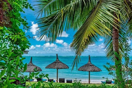 Coconut trees & plants framed view of Constance hotel blue lagoon