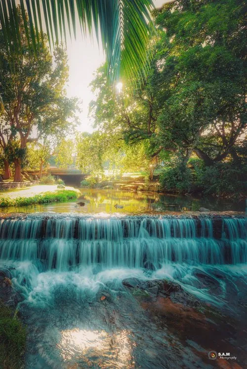 Small waterfalls in River of Reduit