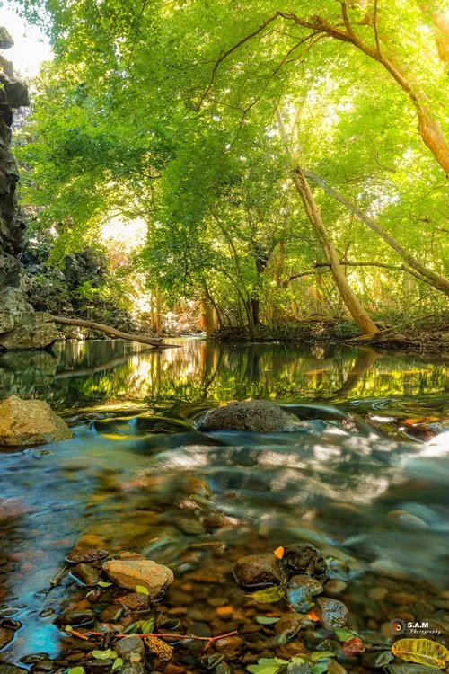 Creek at Black River Gorges