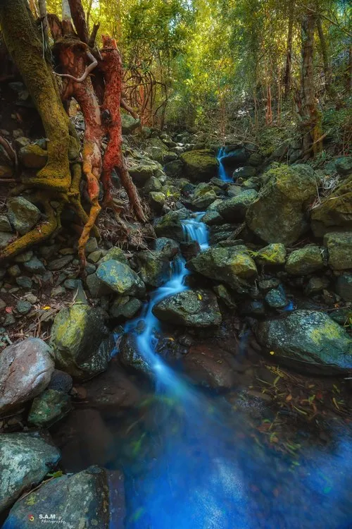 Water flowing over rocks to pond