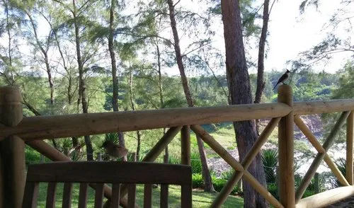 Birds watching wilderness at Andrea Lodges