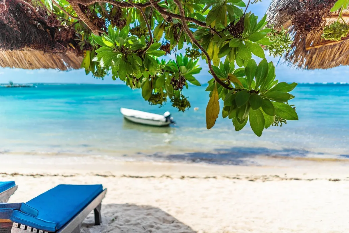 White motorboat moored behind green leaves on Belle Mare Beach lagoon in Mauritius