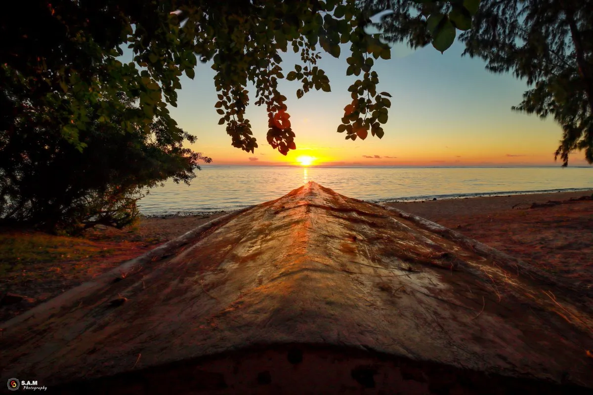 Sunset through tree leaves at Flic en Flac beach with ocean view in Mauritius