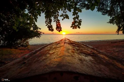 Sunset under trees at Flic en Flac