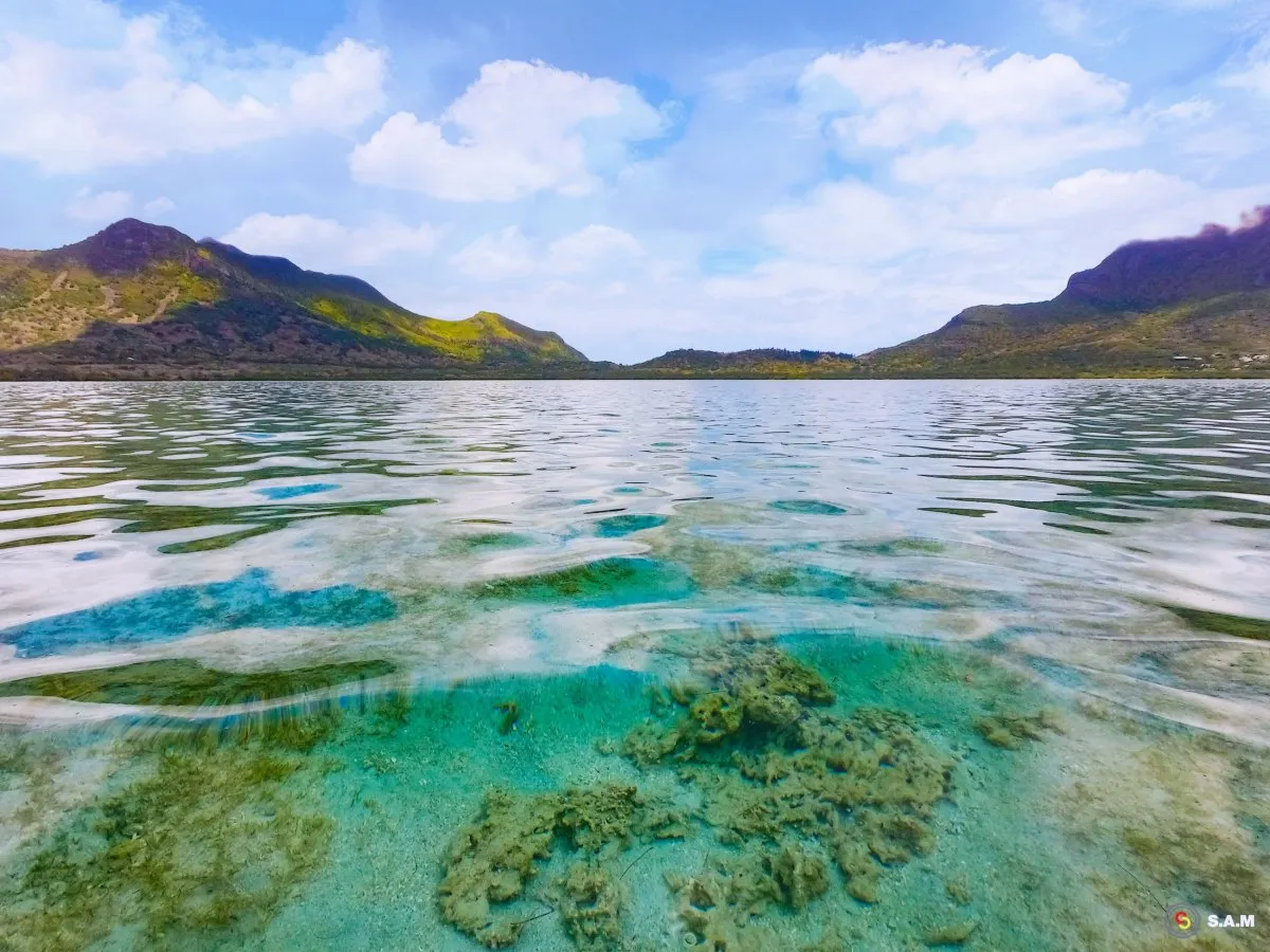 Shallow lagoon with algae and Le Morne mountains in the background in Mauritius