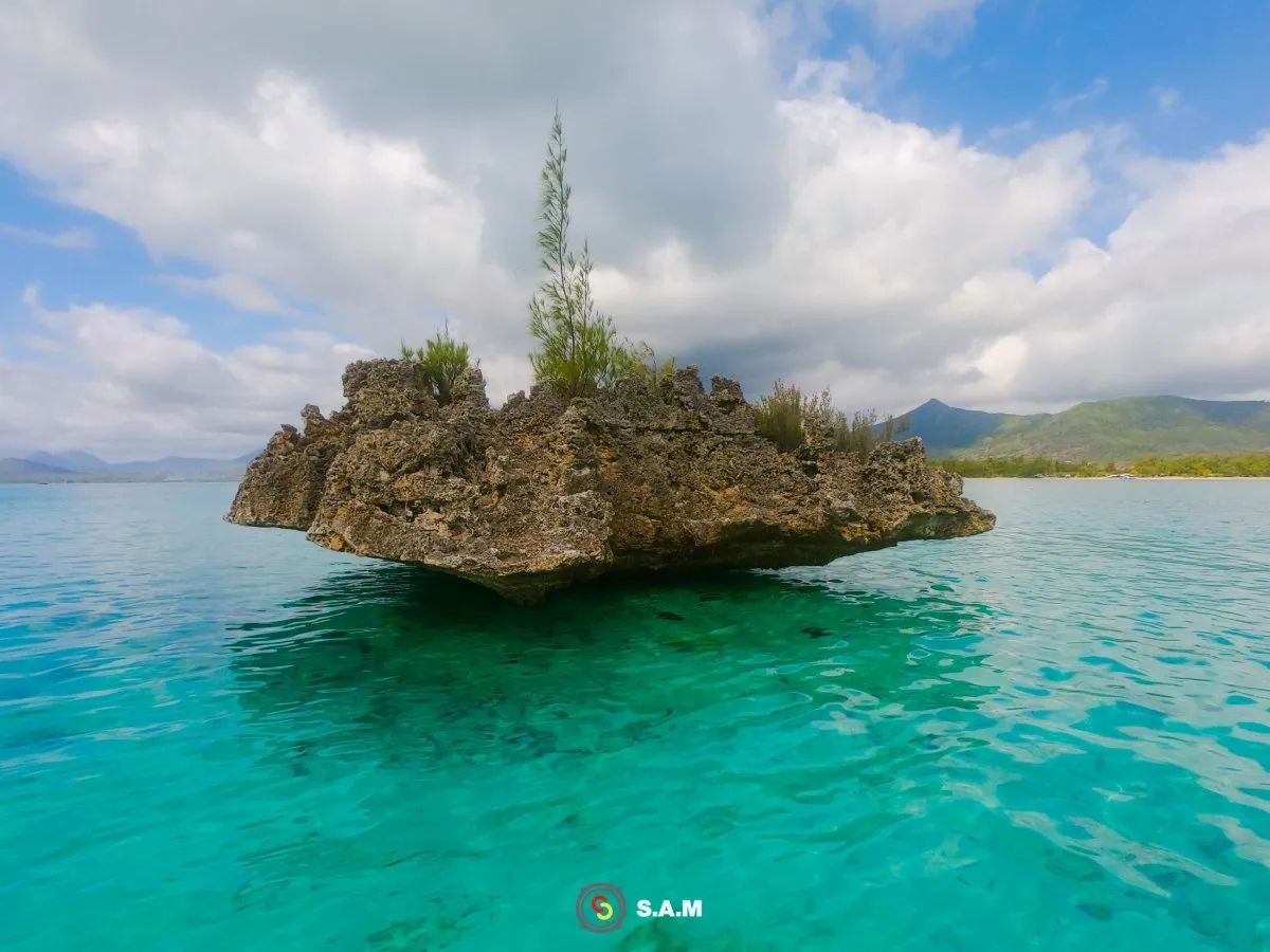 Crystal coral rock in the lagoon of Mauritius with clear water, ideal for snorkeling and dolphin spotting.