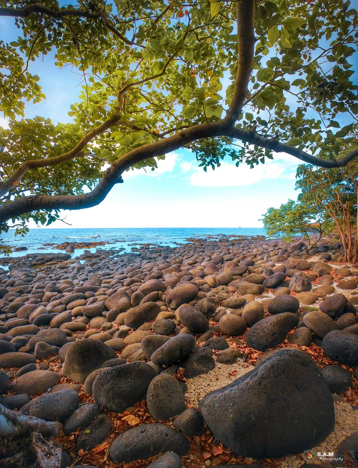 Rounded black natural stone pebbles scattered on the deserted Albion beach in Mauritius