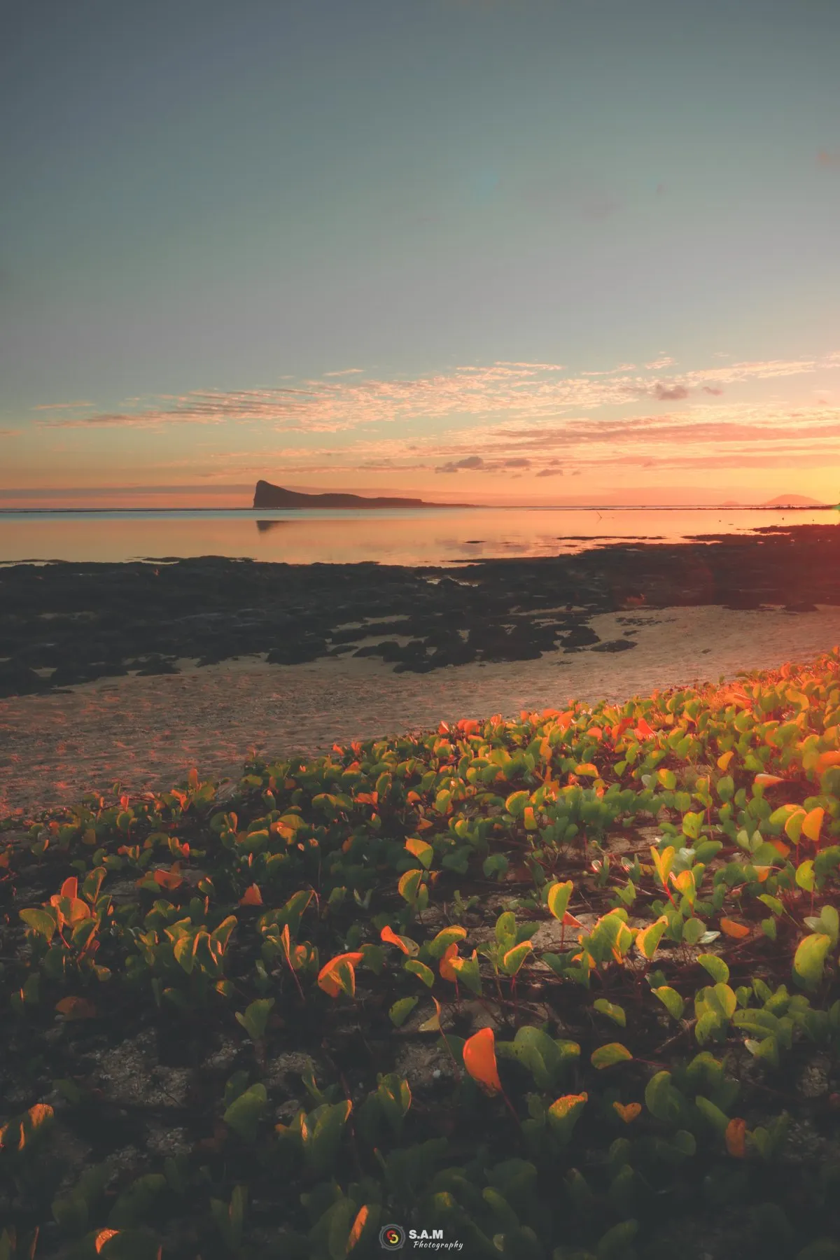 Sunrise view of Coin de Mire island from Pereybere beach with green plants in Mauritius