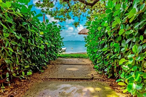 Green plants pathway leading to the ocean at Constance hotel