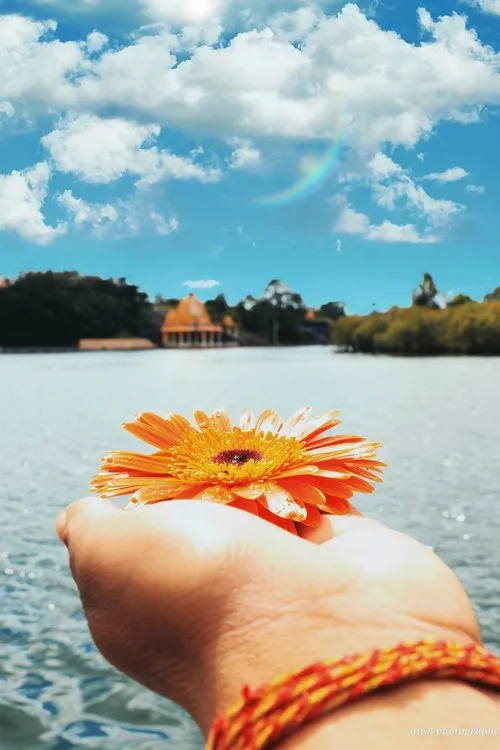 Hand holding flower at Grand-Bassin