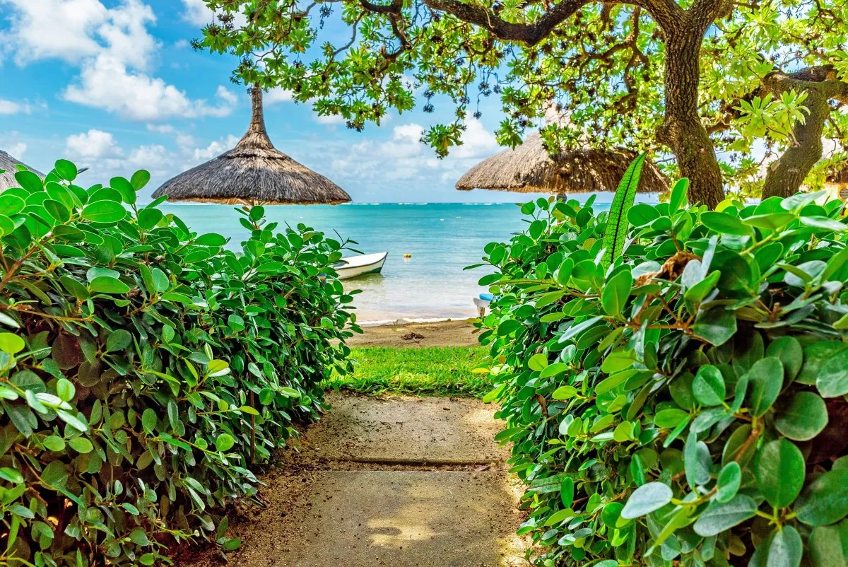Narrow bush pathway leading to Paradise Beach at Constance Hotel, surrounded by green plants in Mauritius