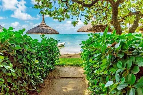 Narrow bush pathway to access paradise beach at Constance Beach