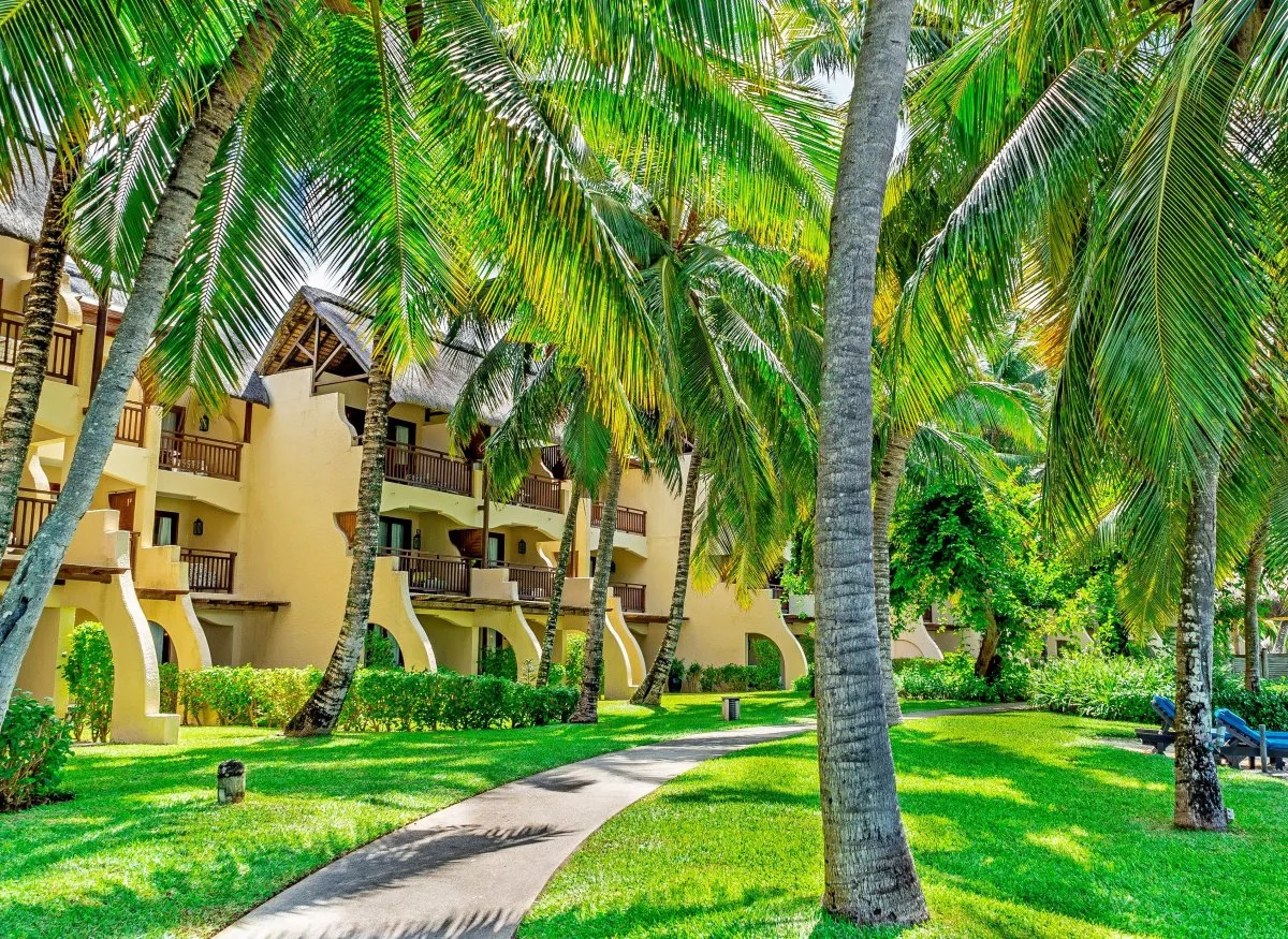 Pathway with coconut trees in hotel garden at Constance Belle-Mare Plage, Mauritius