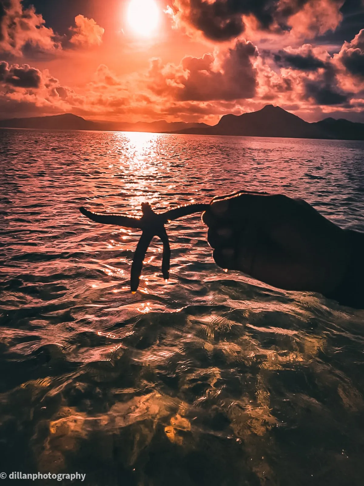 Red sunset over Île au Phare in Mauritius with silhouette of hand holding starfish and clouds in the sky