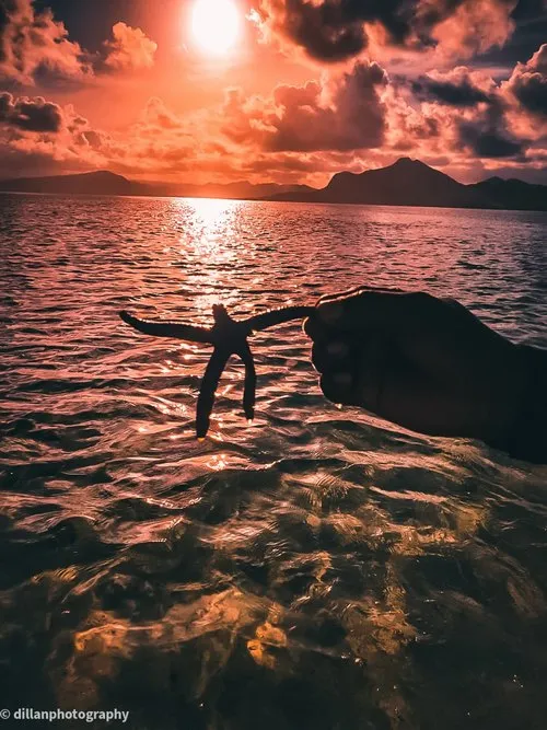 Red sunset with star fish