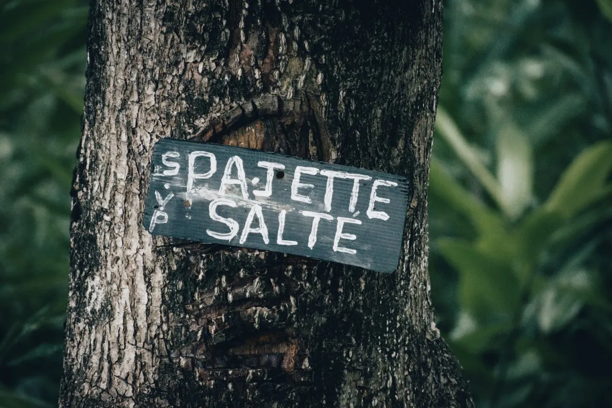 Sign in a Mauritius forest asking visitors not to throw garbage, attached to a tree