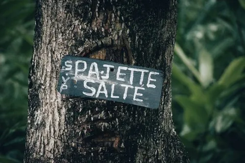 Signage in nature defending to throw garbage